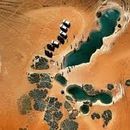 Dakhla Desert & Ocean Community Day's picture