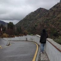 Photos de Marco Bottum