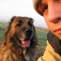 János Diosi的照片