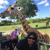 Mariana Graça Torres的照片