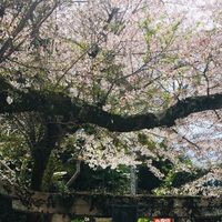 Photos de Winnie Chuang