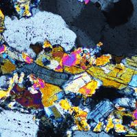 Andrzej Dubiniewicz的照片