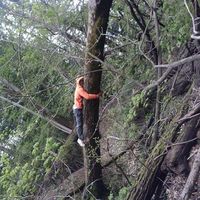 Photos de Satoshi Nishiaoki