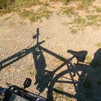 Alexandra Kort's Photo