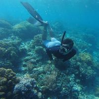 Nurmansyah Putra的照片