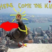 Laura Meyer的照片