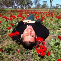 Fotos de Tal Shenberg