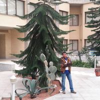 Fotos von Sadegh Saei