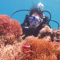 Chau Nguyen的照片