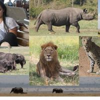 Emmanuel Tasur的照片