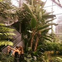 Lisa Baumgaertner的照片