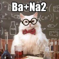 Mateusz Kołkowski的照片