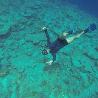 Hadi Toghyani's Photo