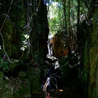 Stefanie B.'s Photo