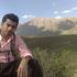 alireza ahmadi's Photo
