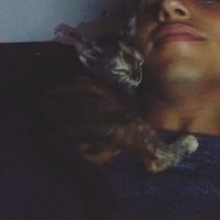 Roberto A Morales Hirales's Photo