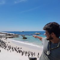 Fotos de Rodrigo Lima