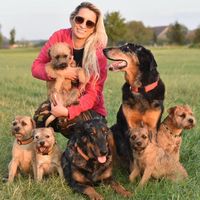 Fotos de Beauceron BorderTerrier PsiMysterium