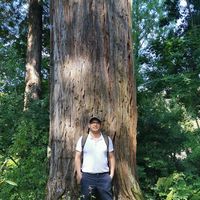 Fotos von Sami Saadaoui