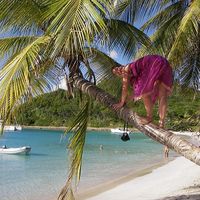 Asa Pettersson的照片