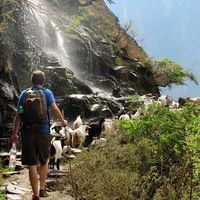 Will Poff-Webster的照片