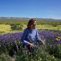 Photos de Mary Devlin