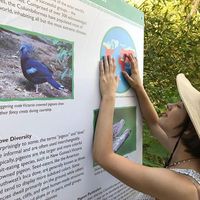 Raya Mroczek's Photo