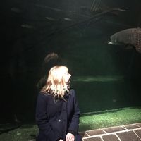 Photos de Alice Galizium