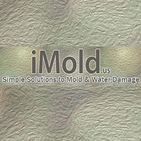iMold US Water Damage & Mold  Removal Service Naples's Photo