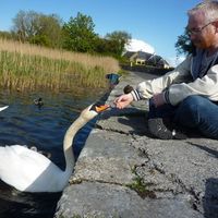 Ray Farrell的照片