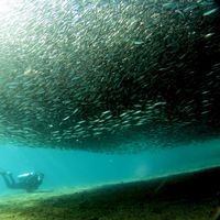 Marieke van Tienhoven's Photo