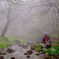 Ehsan Ahmadi's Photo