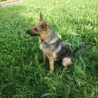 Maila Micheli's Photo