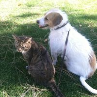 Photos de Raymond Valencium