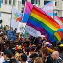 Belgian LGBT+ Pride 🏳️‍🌈's picture