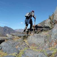 Julio Quiroz's Photo