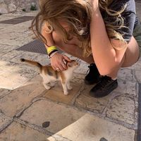 Erica Wigemo的照片