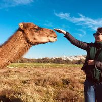 Yulia Lashchuk的照片