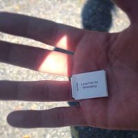 Andrea Brown的照片