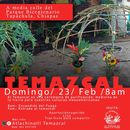 Temazcal's picture