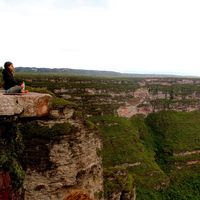 Michelle Coelho的照片