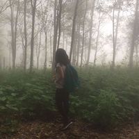 Photos de Leyla Zeynal