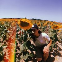 Henro Jakovel的照片