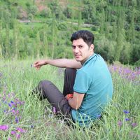 Meysam Shafiei的照片