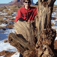 Photos de Theo Barbe