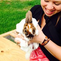 Melissa Tomlinson的照片