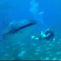 Carter MacIntyre's Photo