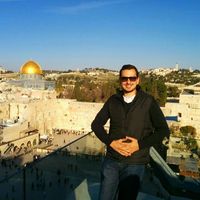 David Gottdiener的照片