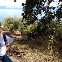 Elli Braunholz's Photo