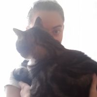 Pavlína Holcová的照片